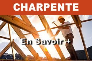 Travaux de charpente 95