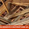 Charpente Renove couverture 95
